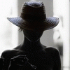 1245.gif (7480 bytes)